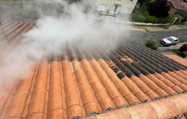 démoussage vapeur à Pessac